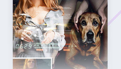 罗马影院历史版本app合集