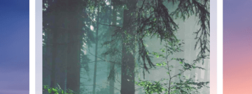 不正经的助眠哄睡视频app合集