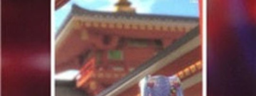 免费不肝的无广告的手游合集