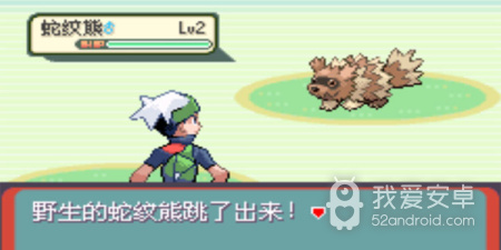 口袋妖怪神光曲手游合集