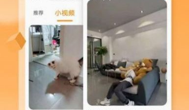 跟风云视频同款的app合集