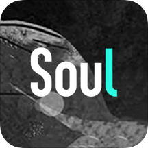 soul中国版