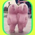 贴贴免费版