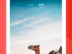 91自拍视频app合集