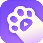 猫趣直播升级版