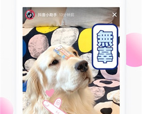 像f2d6这样的app合集