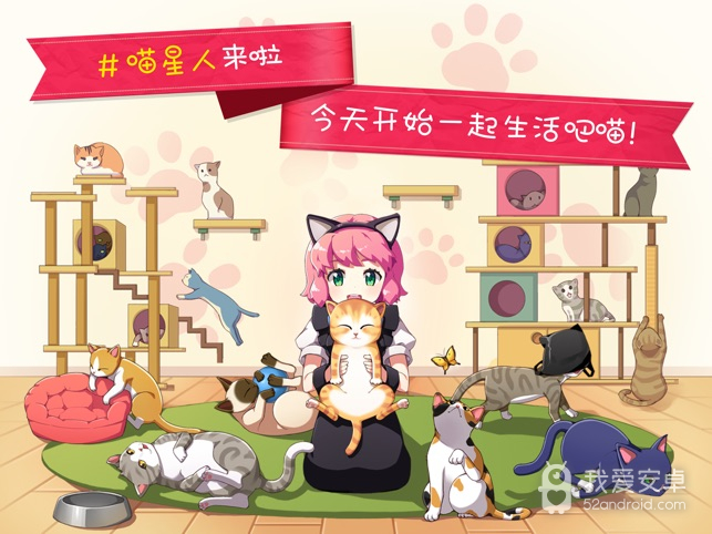 猫猫咖啡屋正式版