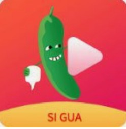 丝瓜视频永不升级版