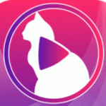 小猫直播xm15tv版