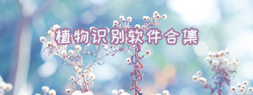 植物识别软件合集