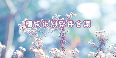 植物识别软件合集