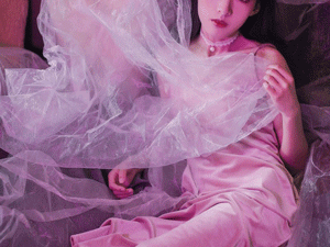 番茄视频app合集