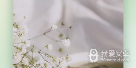 快猫视频所有版本app合集