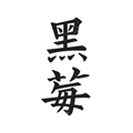 黑莓小说纯净版