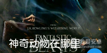 雷达电视破解版app合集