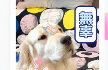 和富二代短视频一样的app合集