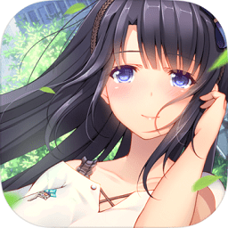 VIRTUES破解版