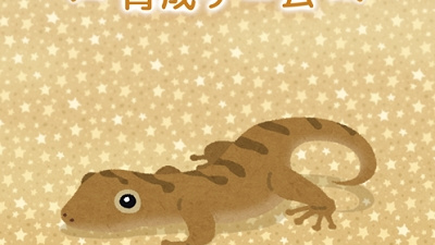 适合女生玩的养成手游合集