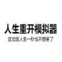 人生重开模拟器大佬版
