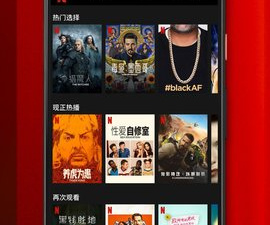 netflix所有版本app合集
