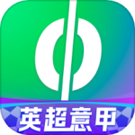 爱奇艺体育清爽版