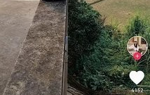 极品医圣许长生短剧app合集