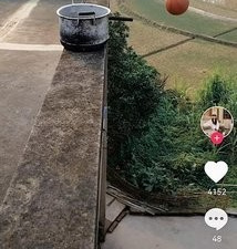 极品医圣许长生短剧app合集