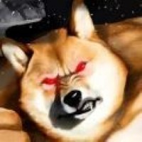 肌肉柴犬生命版