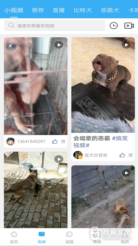 猛犬俱乐部