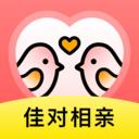佳对真人版