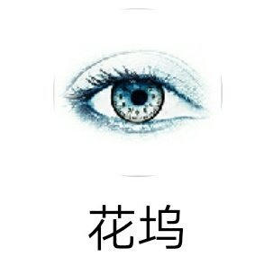 花坞直播绿色版