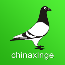 中国信鸽信息网最新版