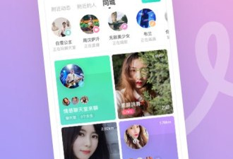 回民交友的app合集