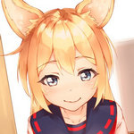 与钴狐的日常无限金版