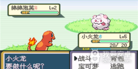 口袋妖怪火红最新版手游合集