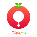 番茄乐园电视版