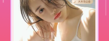 关于猫咪手游合集