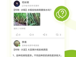 流量管家app合集