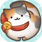 猫咪连结