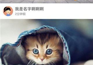 免费的婚恋交友app合集