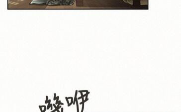 免费可以看各种禁漫的app合集