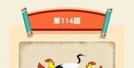 纯国产的成语接龙手游合集