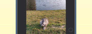 能让静态图片动起来的app排行榜