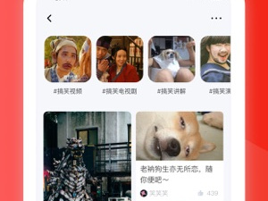 91在线播放视频app合集