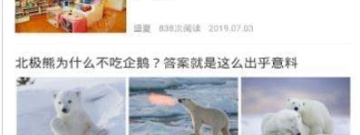 宠物医疗app合集