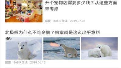 宠物医疗app合集