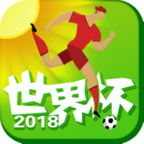 世界杯(青少年足球)