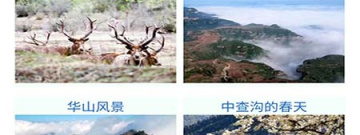 百科知识类app合集