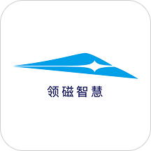领磁智慧
