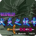火焰纹章黑暗无双(霸者之证)
